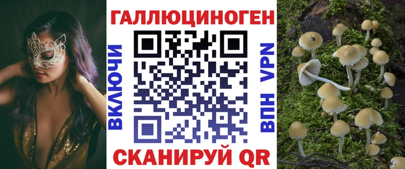 Купить где  Пущино  Псилоцибиновые грибы прущие грибы 